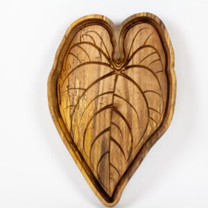 Alocasia Dragon Scale Leaf Maple Tray